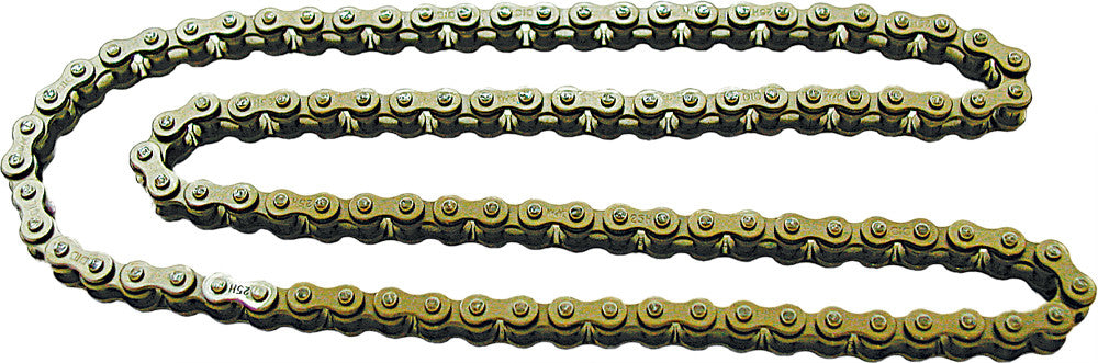 Cam chain (all years)