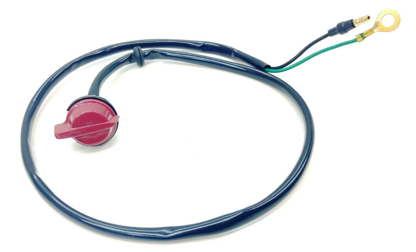 Oem kill switch (73-85)